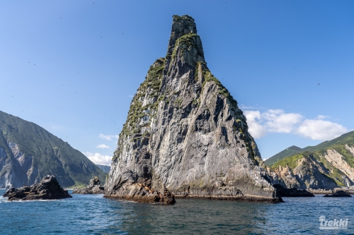 . Камчатка комфорт. Вулканы, водопады, медведи, киты с Trekki.travel