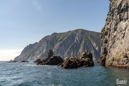 . Камчатка комфорт. Вулканы, водопады, медведи, киты с Trekki.travel