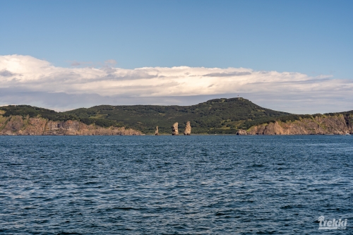 . Камчатка комфорт. Вулканы, водопады, медведи, киты с Trekki.travel