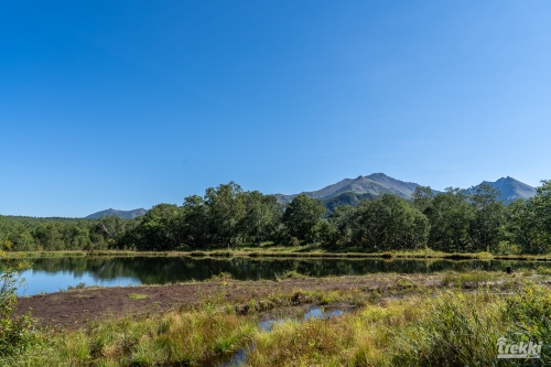 . Камчатка комфорт. Вулканы, водопады, медведи, киты с Trekki.travel