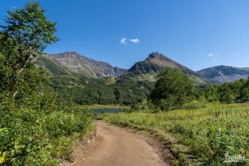 . Камчатка комфорт. Вулканы, водопады, медведи, киты с Trekki.travel