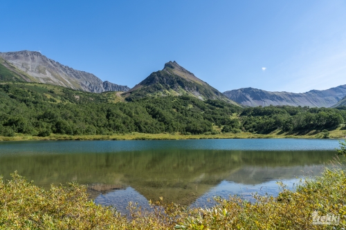 . Камчатка комфорт. Вулканы, водопады, медведи, киты с Trekki.travel