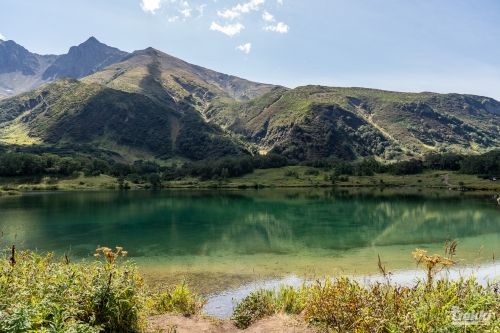 . Камчатка комфорт. Вулканы, водопады, медведи, киты с Trekki.travel