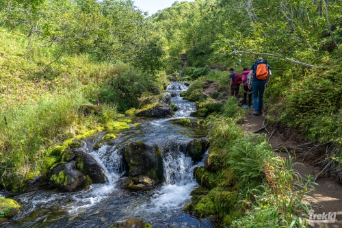 . Камчатка комфорт. Вулканы, водопады, медведи, киты с Trekki.travel