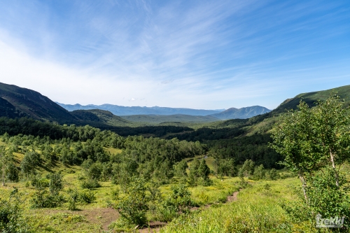 . Камчатка комфорт. Вулканы, водопады, медведи, киты с Trekki.travel