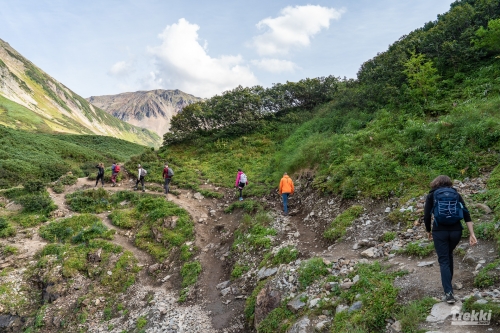 . Камчатка комфорт. Вулканы, водопады, медведи, киты с Trekki.travel