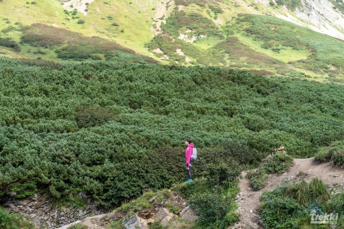 . Камчатка комфорт. Вулканы, водопады, медведи, киты с Trekki.travel