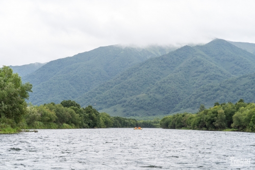 . Камчатка комфорт. Вулканы, водопады, медведи, киты с Trekki.travel