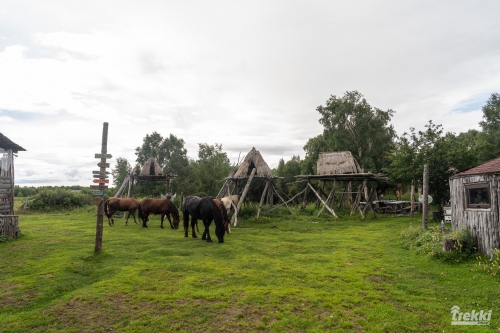 . Камчатка комфорт. Вулканы, водопады, медведи, киты с Trekki.travel