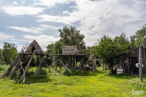 . Камчатка комфорт. Вулканы, водопады, медведи, киты с Trekki.travel