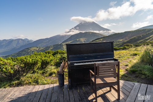 . Камчатка комфорт. Вулканы, водопады, медведи, киты с Trekki.travel