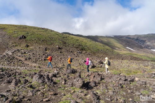 . Камчатка комфорт. Вулканы, водопады, медведи, киты с Trekki.travel