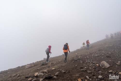 . Камчатка комфорт. Вулканы, водопады, медведи, киты с Trekki.travel