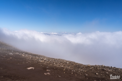 . Камчатка комфорт. Вулканы, водопады, медведи, киты с Trekki.travel