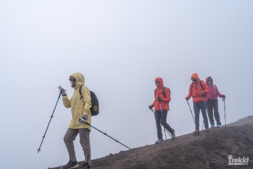 . Камчатка комфорт. Вулканы, водопады, медведи, киты с Trekki.travel