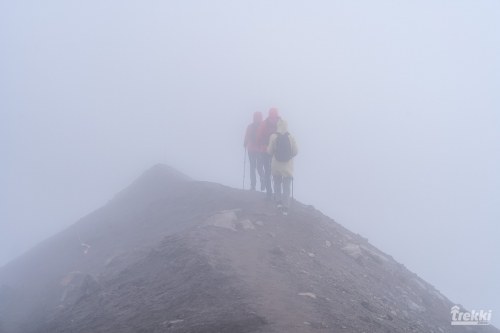 . Камчатка комфорт. Вулканы, водопады, медведи, киты с Trekki.travel