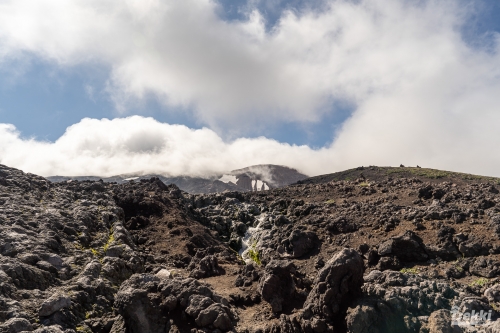 . Камчатка комфорт. Вулканы, водопады, медведи, киты с Trekki.travel