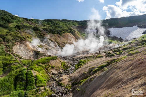 . Камчатка комфорт. Вулканы, водопады, медведи, киты с Trekki.travel