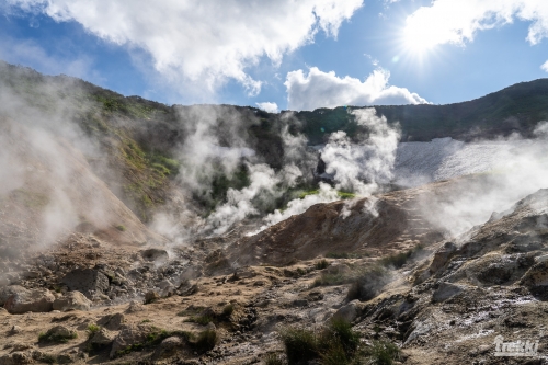 . Камчатка комфорт. Вулканы, водопады, медведи, киты с Trekki.travel