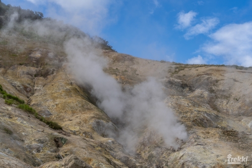 . Камчатка комфорт. Вулканы, водопады, медведи, киты с Trekki.travel