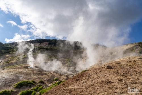 . Камчатка комфорт. Вулканы, водопады, медведи, киты с Trekki.travel