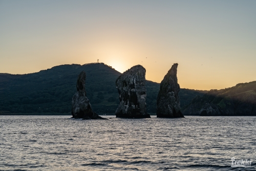 . Камчатка комфорт. Вулканы, водопады, медведи, киты с Trekki.travel