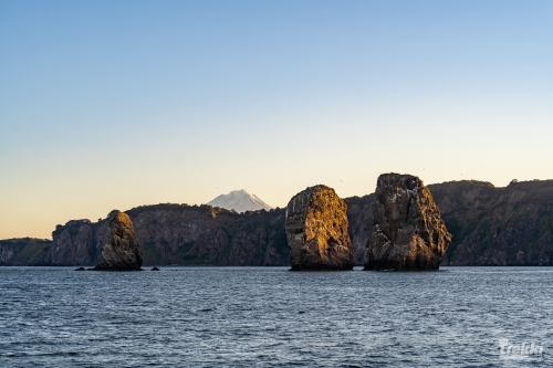 . Камчатка комфорт. Вулканы, водопады, медведи, киты с Trekki.travel