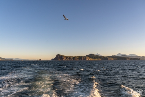 . Камчатка комфорт. Вулканы, водопады, медведи, киты с Trekki.travel