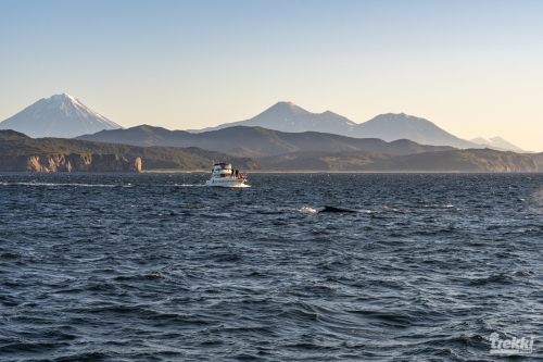 . Камчатка комфорт. Вулканы, водопады, медведи, киты с Trekki.travel