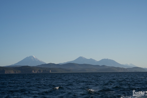 . Камчатка комфорт. Вулканы, водопады, медведи, киты с Trekki.travel