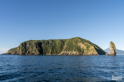 . Камчатка комфорт. Вулканы, водопады, медведи, киты с Trekki.travel