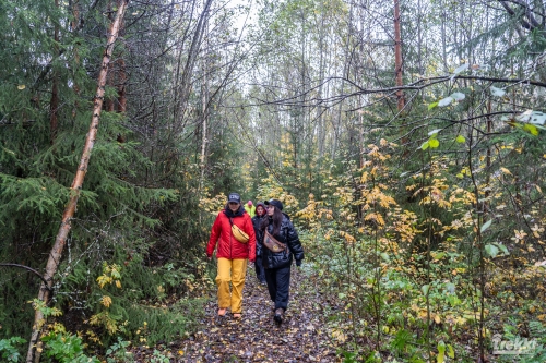 . Ближняя Карелия. Древний вулкан Кирьявалахти, пещеры горы Хийденвуори, музей У Мастера, катер по Ладожским шхерам к островам Рерихов с Trekki.travel
