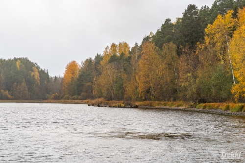 . Ближняя Карелия. Древний вулкан Кирьявалахти, пещеры горы Хийденвуори, музей У Мастера, катер по Ладожским шхерам к островам Рерихов с Trekki.travel