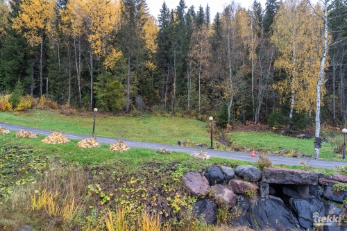 . Ближняя Карелия. Древний вулкан Кирьявалахти, пещеры горы Хийденвуори, музей У Мастера, катер по Ладожским шхерам к островам Рерихов с Trekki.travel