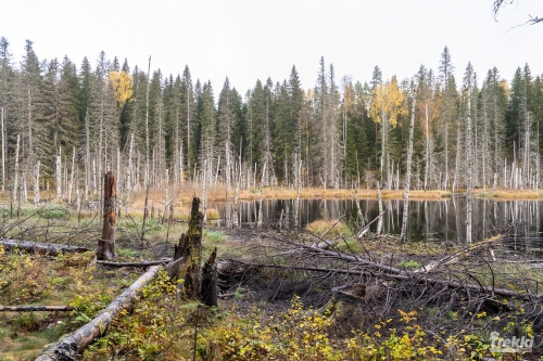 . Ближняя Карелия. Древний вулкан Кирьявалахти, пещеры горы Хийденвуори, музей У Мастера, катер по Ладожским шхерам к островам Рерихов с Trekki.travel