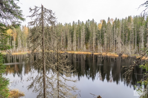 . Ближняя Карелия. Древний вулкан Кирьявалахти, пещеры горы Хийденвуори, музей У Мастера, катер по Ладожским шхерам к островам Рерихов с Trekki.travel