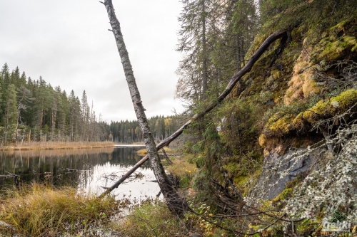 . Ближняя Карелия. Древний вулкан Кирьявалахти, пещеры горы Хийденвуори, музей У Мастера, катер по Ладожским шхерам к островам Рерихов с Trekki.travel