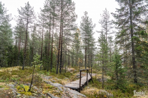 . Ближняя Карелия. Древний вулкан Кирьявалахти, пещеры горы Хийденвуори, музей У Мастера, катер по Ладожским шхерам к островам Рерихов с Trekki.travel