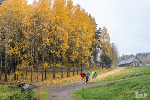 . Ближняя Карелия. Древний вулкан Кирьявалахти, пещеры горы Хийденвуори, музей У Мастера, катер по Ладожским шхерам к островам Рерихов с Trekki.travel