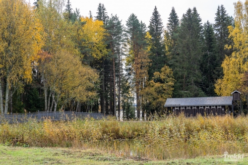 . Ближняя Карелия. Древний вулкан Кирьявалахти, пещеры горы Хийденвуори, музей У Мастера, катер по Ладожским шхерам к островам Рерихов с Trekki.travel