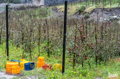 . Трек вокруг Аннапурны, трек на Пунхилл, Покхара и Катманду с Trekki.travel