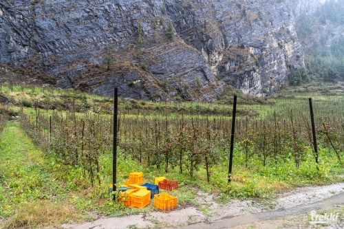 . Трек вокруг Аннапурны, трек на Пунхилл, Покхара и Катманду с Trekki.travel