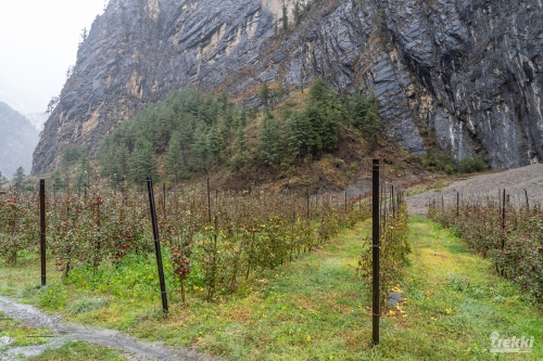 . Трек вокруг Аннапурны, трек на Пунхилл, Покхара и Катманду с Trekki.travel