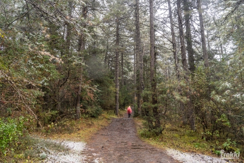 . Трек вокруг Аннапурны, трек на Пунхилл, Покхара и Катманду с Trekki.travel
