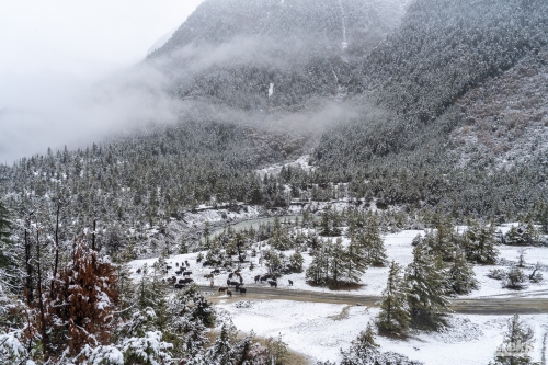 . Трек вокруг Аннапурны, трек на Пунхилл, Покхара и Катманду с Trekki.travel