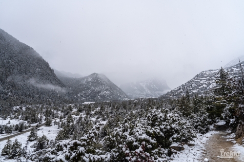 . Трек вокруг Аннапурны, трек на Пунхилл, Покхара и Катманду с Trekki.travel