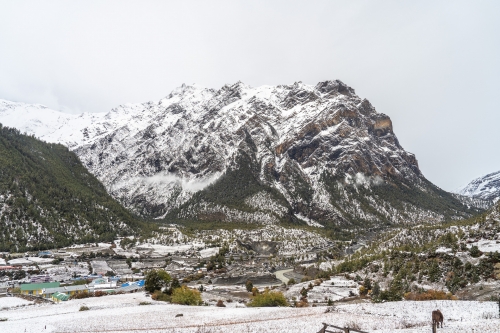 . Трек вокруг Аннапурны, трек на Пунхилл, Покхара и Катманду с Trekki.travel