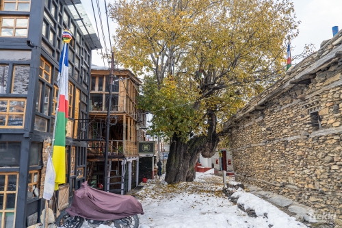 . Трек вокруг Аннапурны, трек на Пунхилл, Покхара и Катманду с Trekki.travel