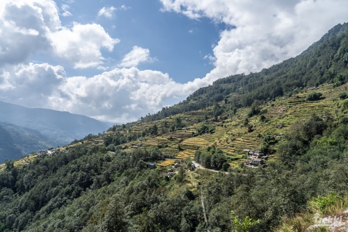 . Трек вокруг Аннапурны, трек на Пунхилл, Покхара и Катманду с Trekki.travel