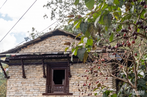 . Трек вокруг Аннапурны, трек на Пунхилл, Покхара и Катманду с Trekki.travel